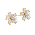 LC earring